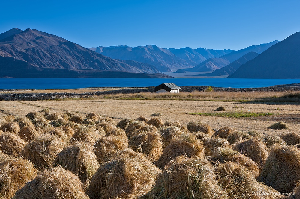 Pangong Lake region