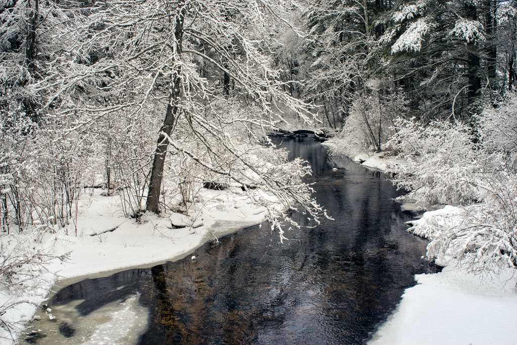 Winter Rivers #5