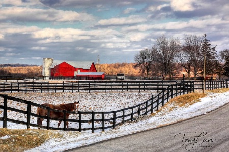 Winter in the Country