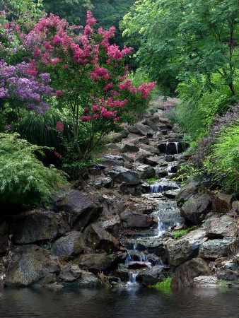 Waterfall In Summer