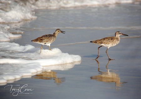 Wet Feet