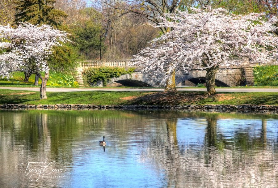 Spring Swim