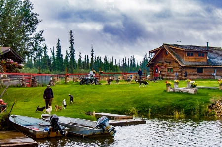 Sled Dog Training School