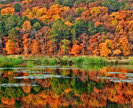 Clayton Lake State Park