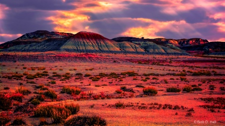 Desert Storm Light