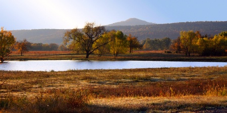 Roadside Pond