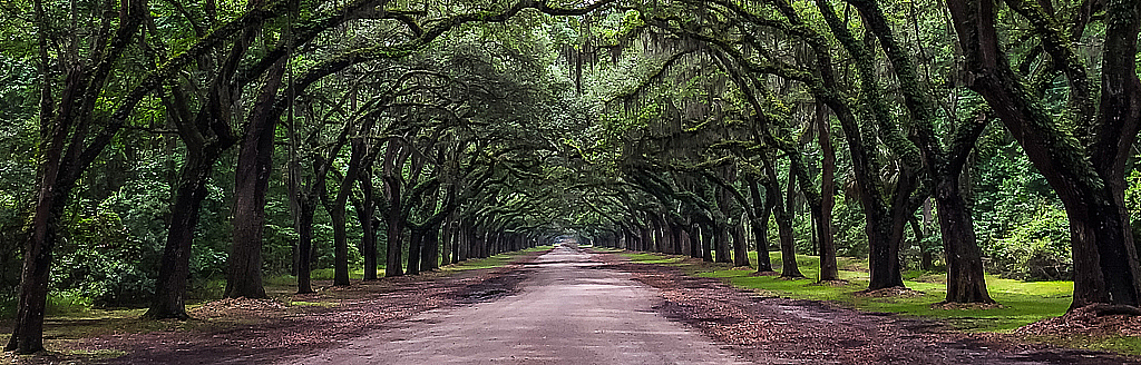 Wormsloe Arch