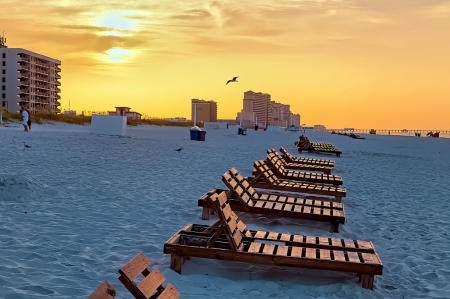 Daybreak Beach Loungers 