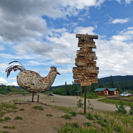 A Clutch of Chickens.