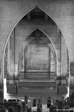 Cathedral Arches