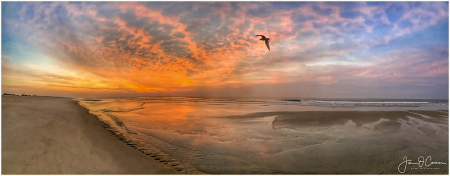 LBI Sunrise 8-5-19