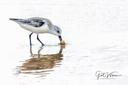 Eating on the shore