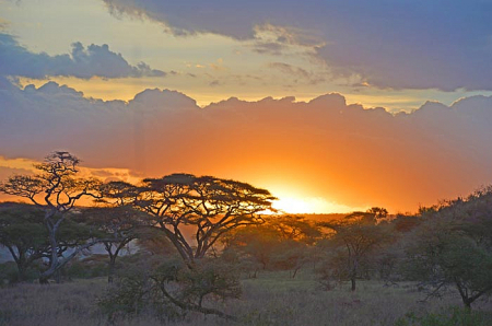 Serengeti Sunset