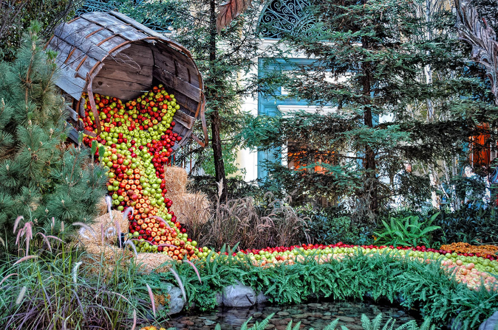 A Barrel Of Apples