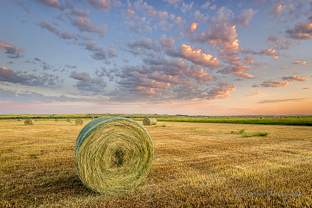 Morning near Rush Lake Saskatchewan