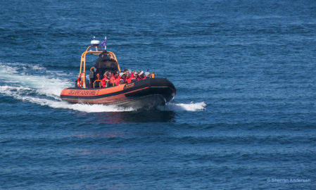 Whale Watchers