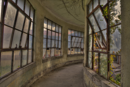 Curved Hall Windows