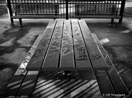 Picnic Table