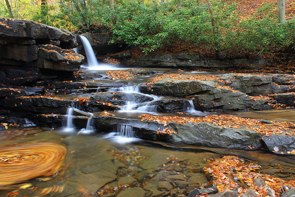 Jonathan Falls