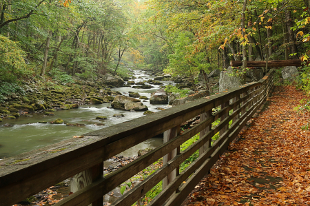 Autumn Walkway