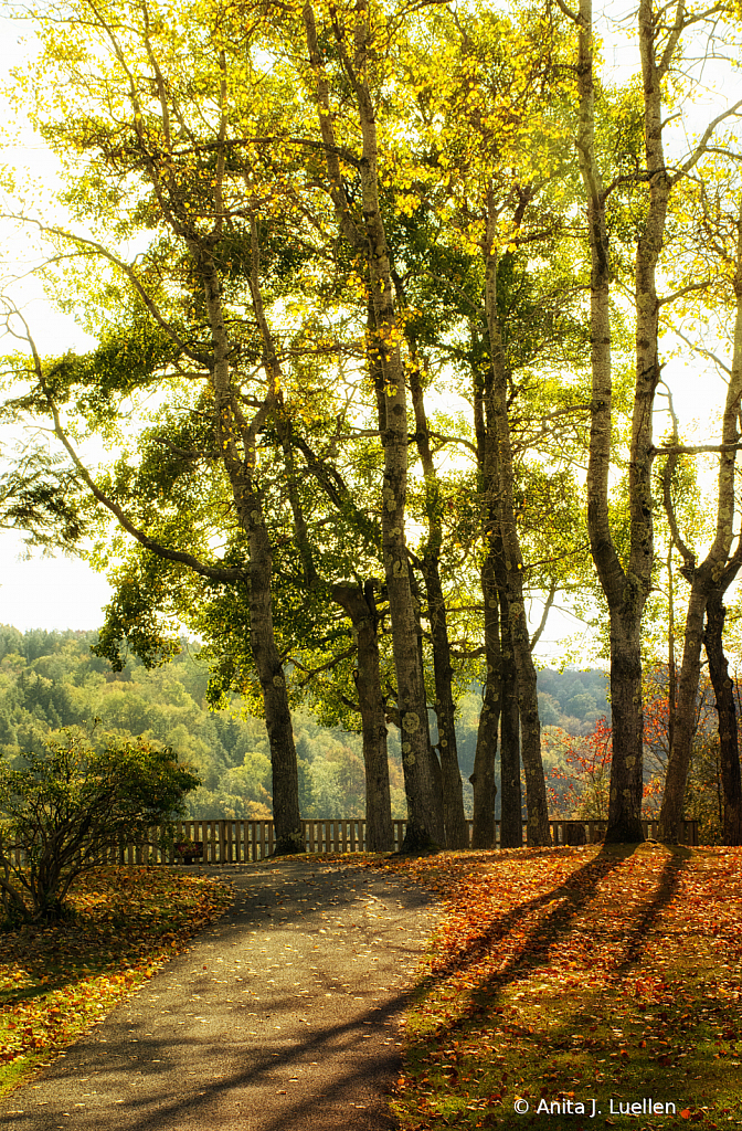 Pendleton Overlook