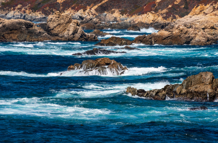 Garrapata State Park, Big Sur - III