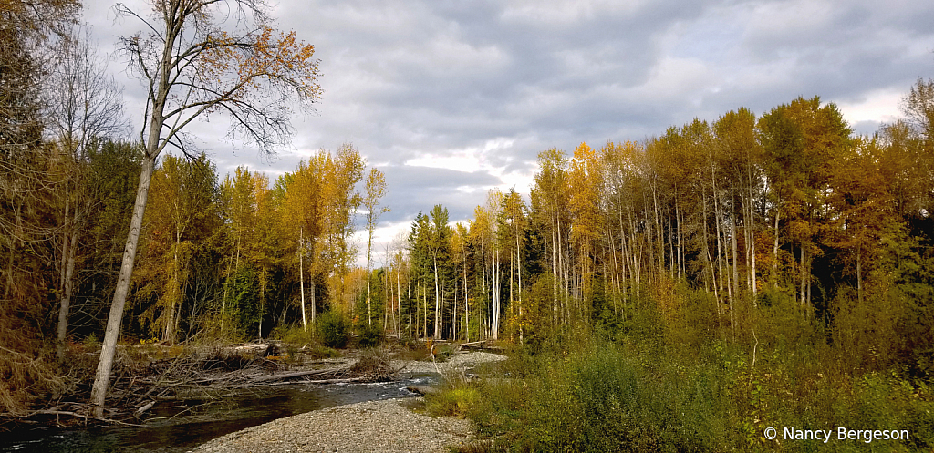 Railroad Bridge Park, Sequim, WA