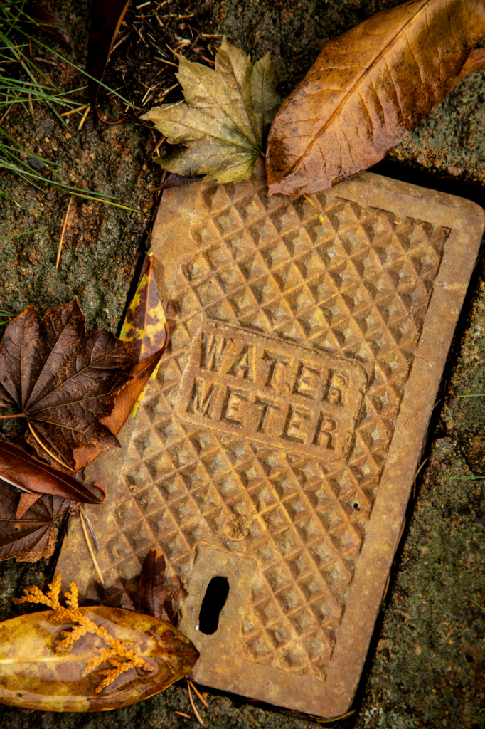 Water Meter II