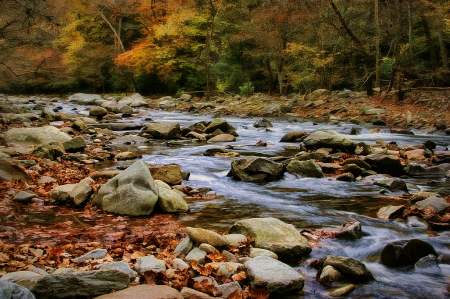 Smoky Mountain Stream