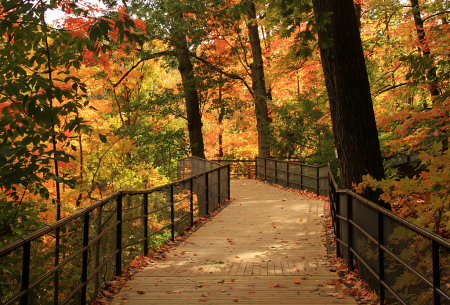 fall stroll