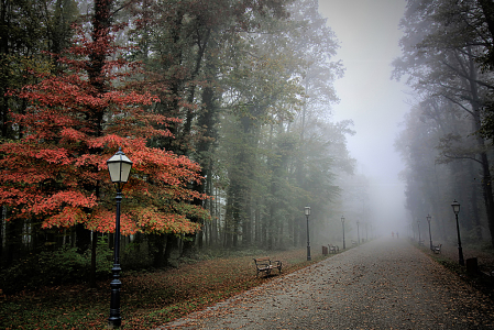 Red Fog