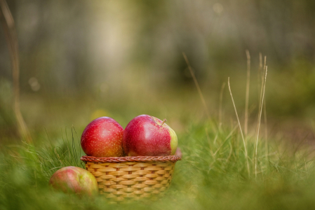 Fall Apples