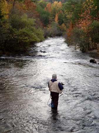 Beavers Bend Fall Fly Fishing