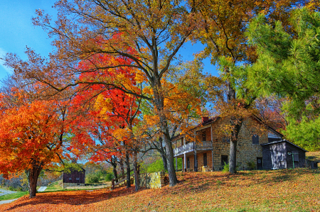 Autumn in Illinois