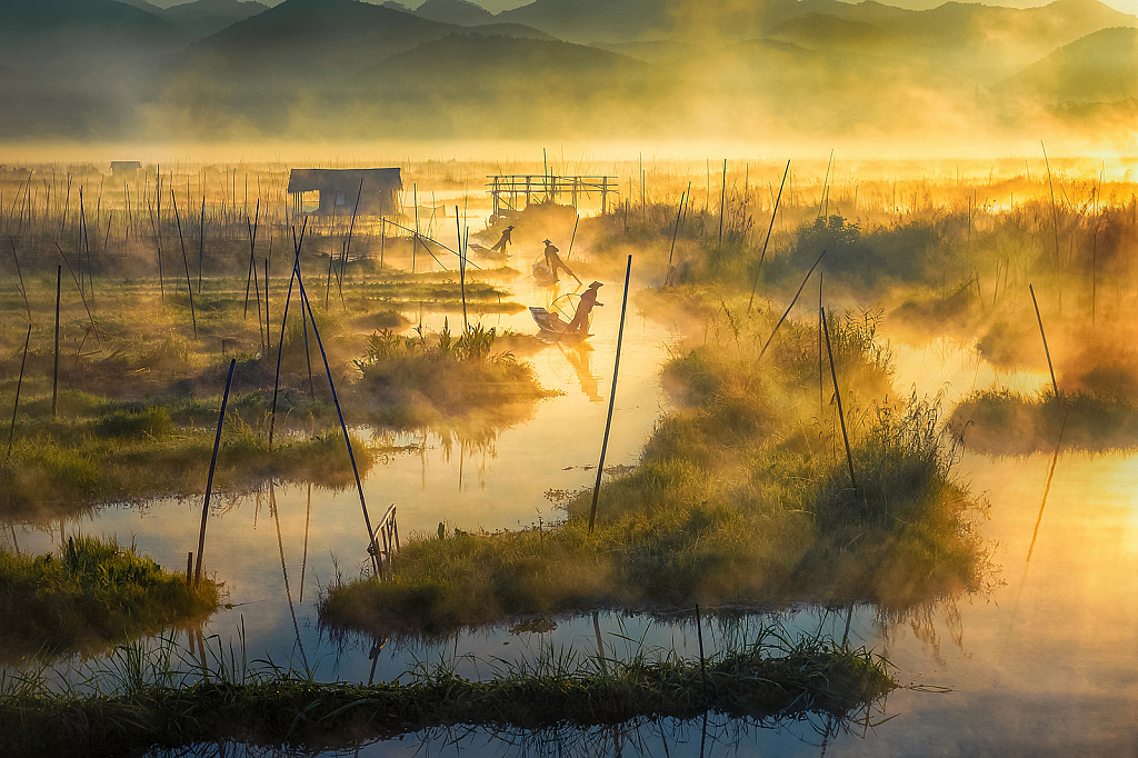 Early morning in the lake