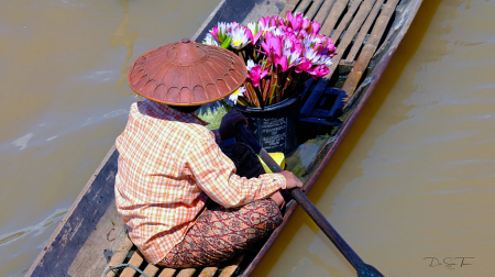 Flower Seller