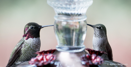 Drinks for Two