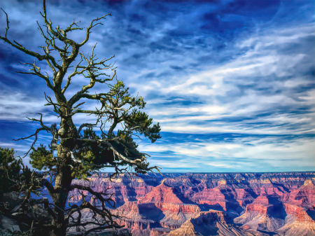 At the Grand Canyon