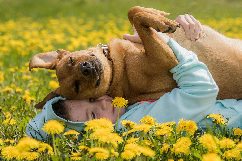 December 2019 Photo Contest Grand Prize Winner - A Girl and her Dog