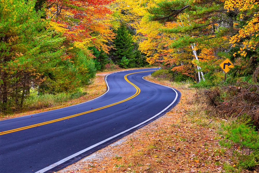 Cruising Through Autumn