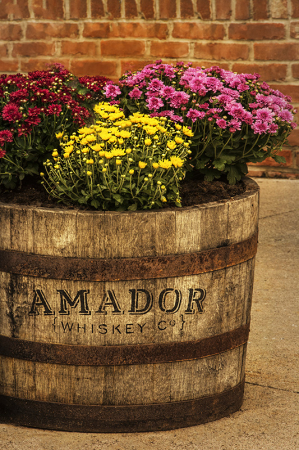 Amador Barrel