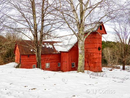 the barn