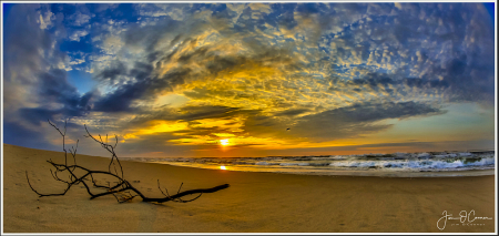 Surf City Sunrise