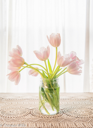 Tulip Bouquet