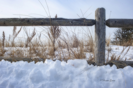 Wintery Bliss