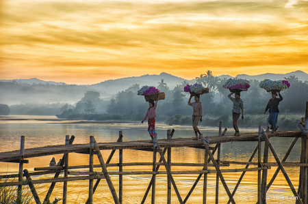 bamboo bridge