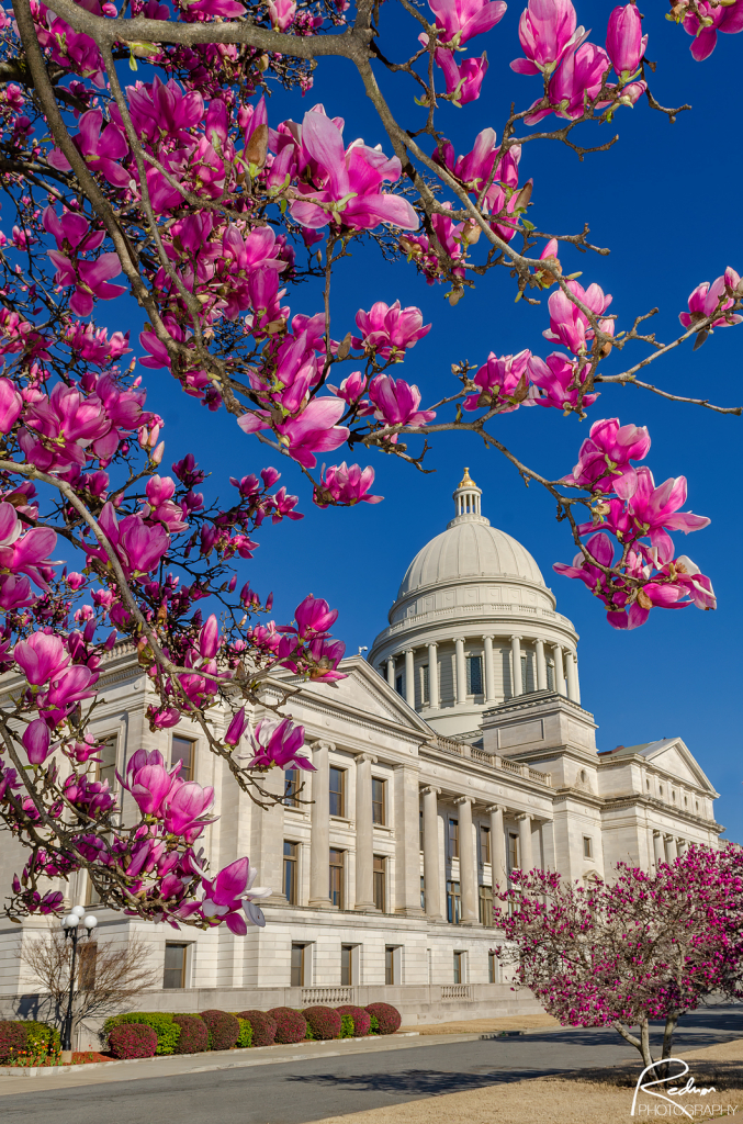 Spring Morning at the Capitol