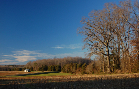 Quail Roost farm.