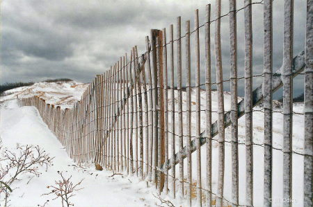 Cape Cod Winter