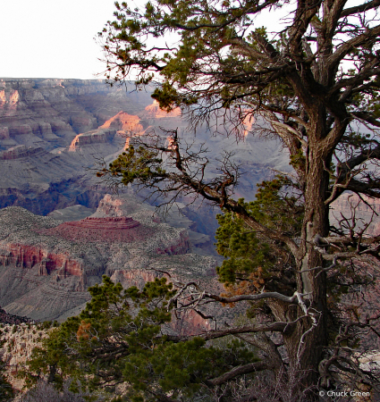 Canyon View